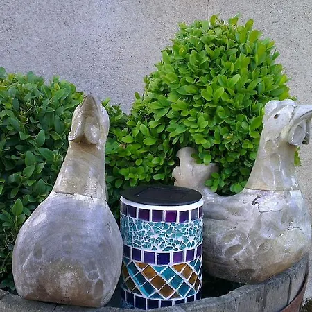 Couette-café L'aubinoise 3*