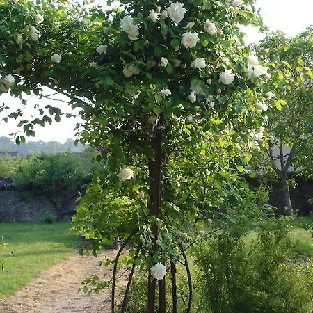 L'aubinoise Saint-Aubin-de-Luigné