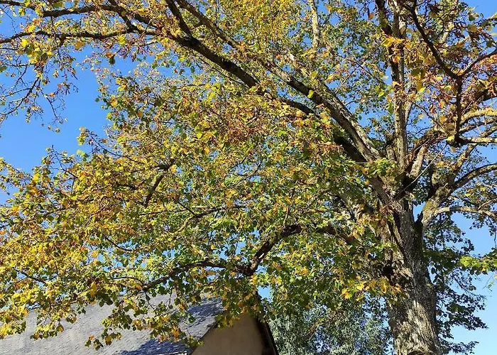 L'aubinoise Oda ve Kahvaltı