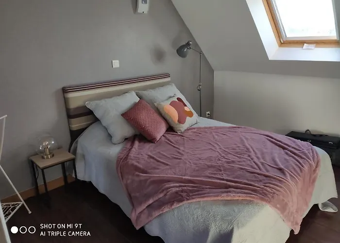 فندق مبيت وإفطار L'aubinoise