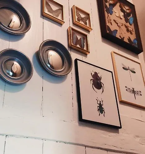 فندق مبيت وإفطار L'aubinoise 3*