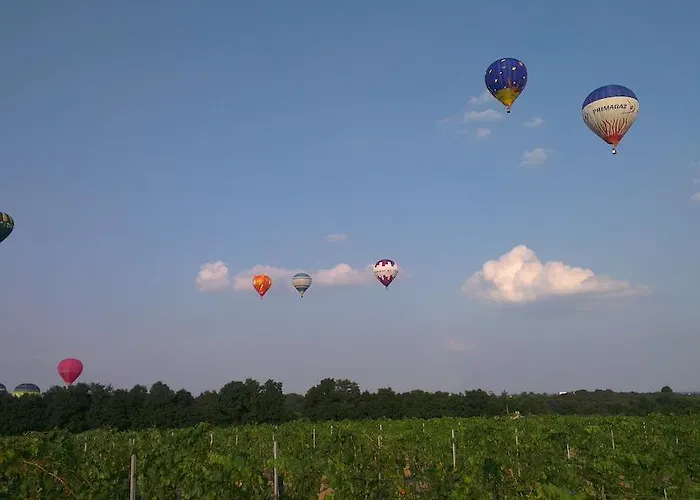 فندق مبيت وإفطار L'aubinoise