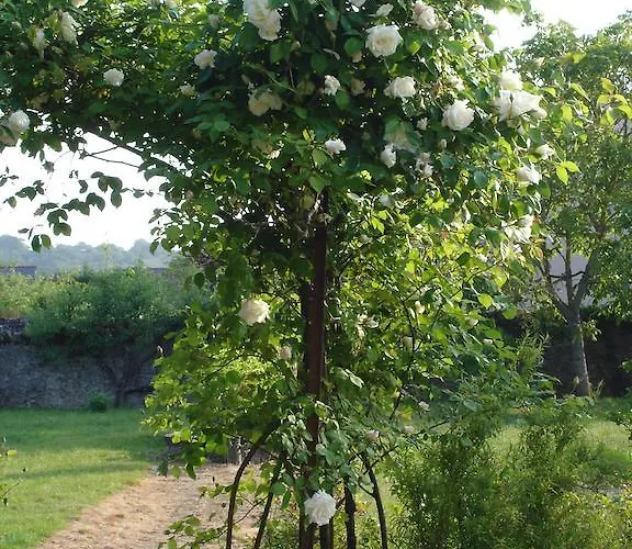 L'aubinoise Saint-Aubin-de-Luigné