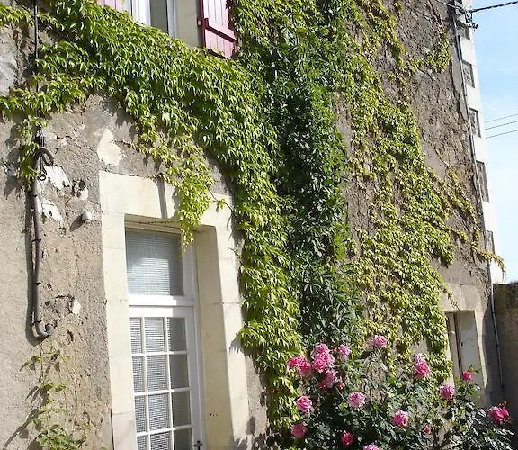 فندق مبيت وإفطار L'aubinoise Saint-Aubin-de-Luigné